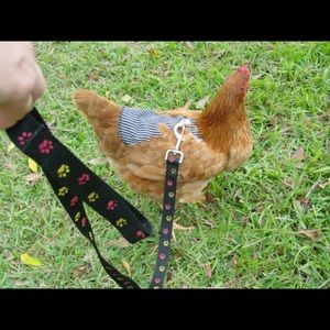 Meet your Posher, Giovanni