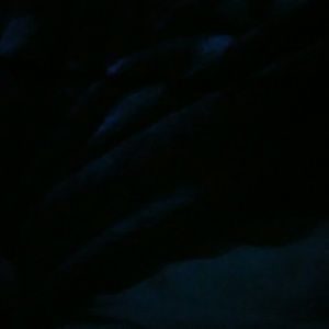 Meet your Posher, Priscilla