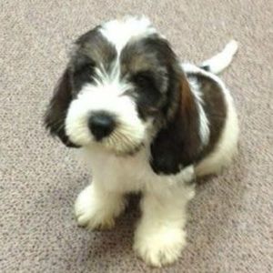 Meet your Posher, Angie