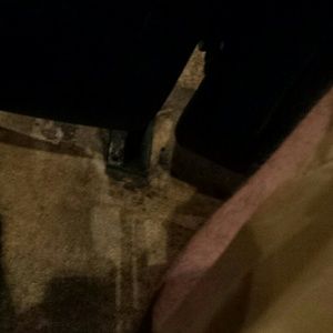 Meet your Posher, Bailey