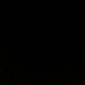 Meet your Posher, Marilyn