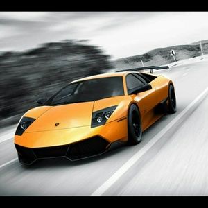 Meet your Posher, Dee