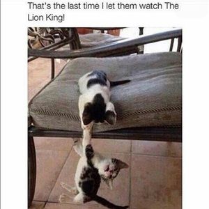 Meet your Posher, Micah