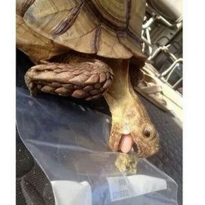 Meet your Posher, Coryn