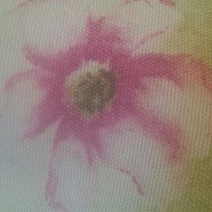 Meet your Posher, Rosaura