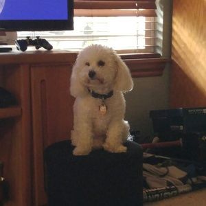 Meet your Posher, Paula