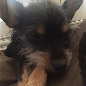 Meet your Posher, Leah