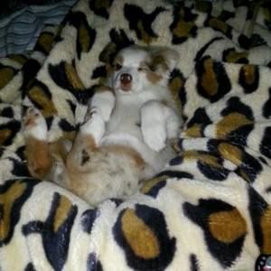 Meet your Posher, Sara