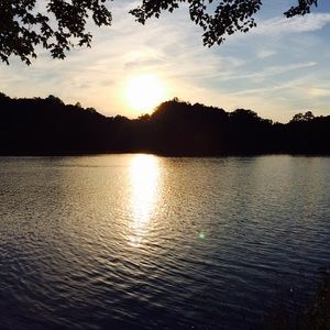 Meet your Posher, Anya