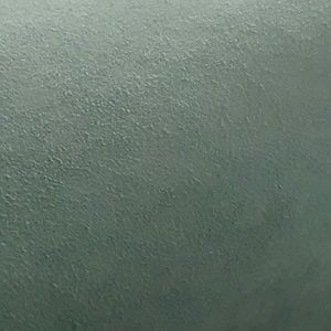 Meet your Posher, Camila