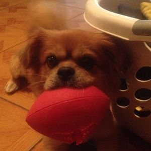 Meet your Posher, Dj