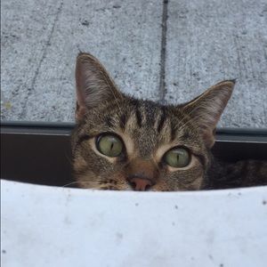 Meet your Posher, Rachel