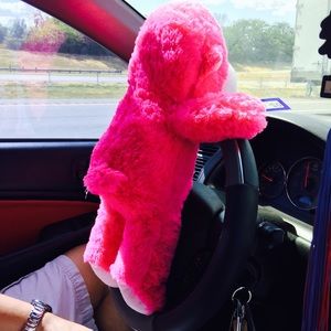 Meet your Posher, Liz