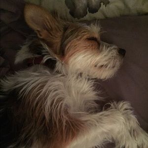 Meet your Posher, Marlena