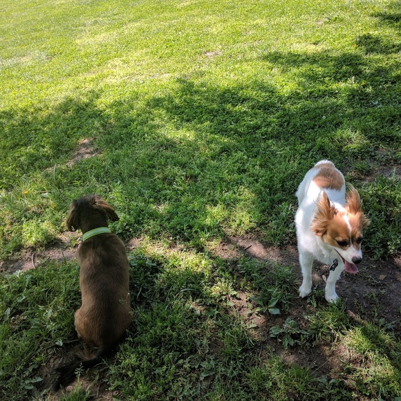 Meet your Posher, Evan - Picture 3 of 4