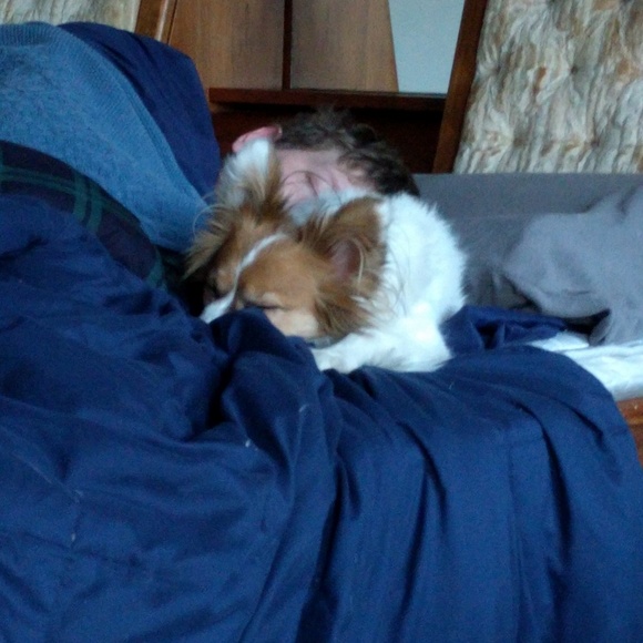 Meet your Posher, Evan - Picture 4 of 4