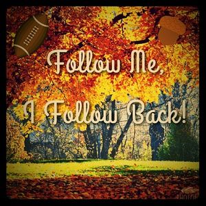 Follow Me, I Follow Back!