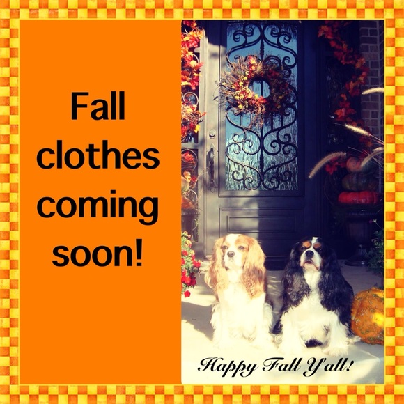 Fall clothes
