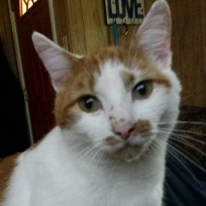 Meet your Posher, Vicky