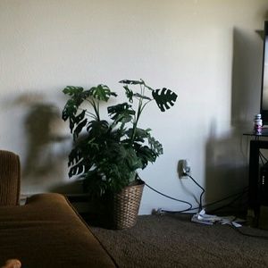 Meet your Posher, Stephen