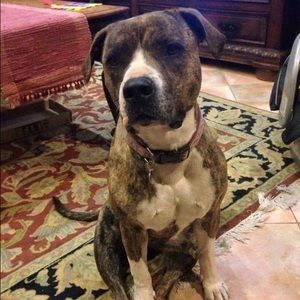 Meet your Posher, Lolo