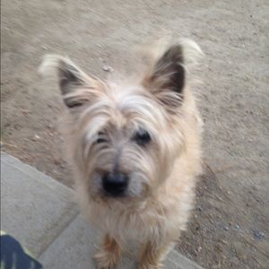 Meet your Posher, Kristen