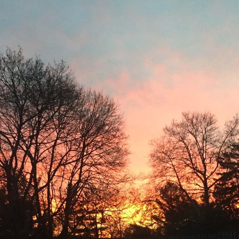 Meet your Posher, Alana