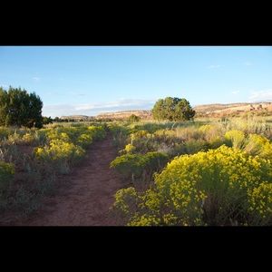 Meet your Posher, Bryan