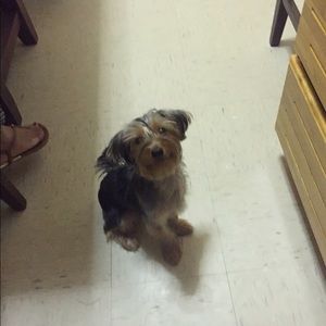 Meet your Posher, Sabrina