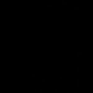 Meet your Posher, Aylin