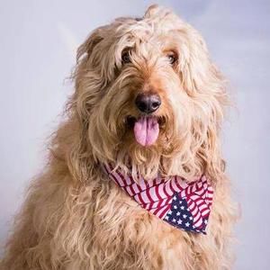 Meet your Posher, Sally