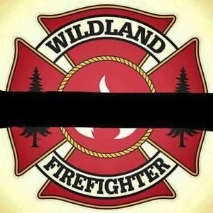 Meet your Posher, Nolan