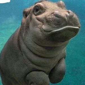 Meet your Posher, Brittanny