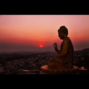 Meet your Posher, Siobhan