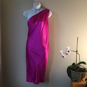 NWT Banana Republic silk dress. Gorgeous! sz 8