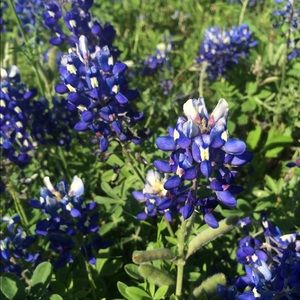 Meet your Posher, Avery