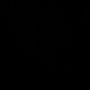 Meet your Posher, Brock