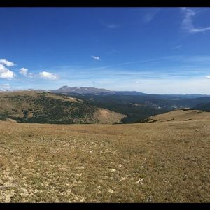 Meet your Posher, Curtis