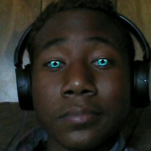 Meet your Posher, Sammy