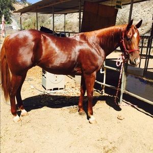 Meet your Posher, Natalie