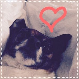 Meet your Posher, Erica