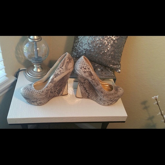 Python Gold Tipped Wedges!!!! - Picture 4 of 4