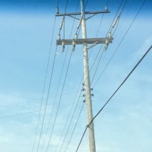 Meet your Posher, Bree