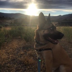 Meet your Posher, Kailey