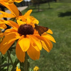 Meet your Posher, Alex