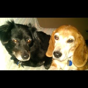 Meet your Posher, Terry