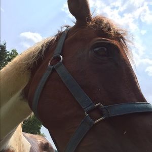 Meet your Posher, Kasey