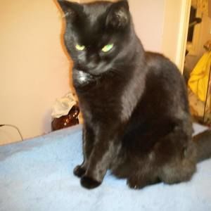 Meet your Posher, Phyllis