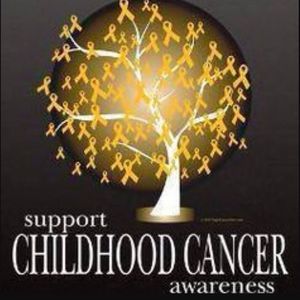 Meet your Posher, Molly