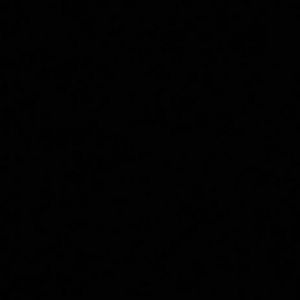 Meet your Posher, Delia